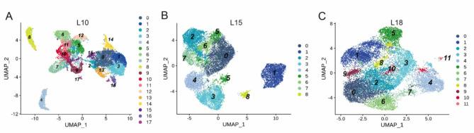https://cdn.ncbi.nlm.nih.gov/pmc/blobs/6059/12405456/7901d1300bfe/41598_2025_17336_Fig3_HTML.jpg