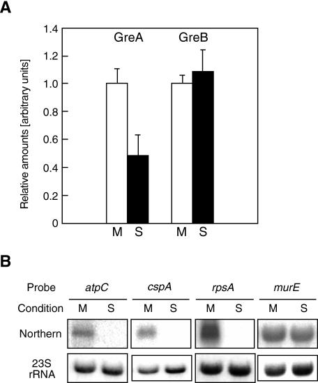 https://cdn.ncbi.nlm.nih.gov/pmc/blobs/605a/1413587/137ac49766bd/mmi_5058_f6.jpg