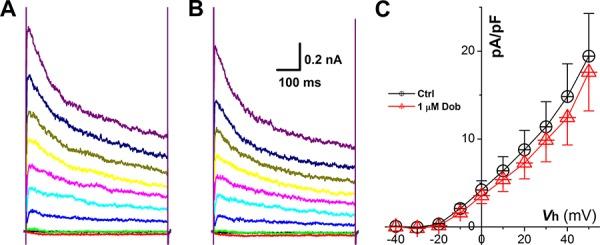 https://cdn.ncbi.nlm.nih.gov/pmc/blobs/605b/4695117/cdd1a55e2751/oncotarget-06-23272-g005.jpg