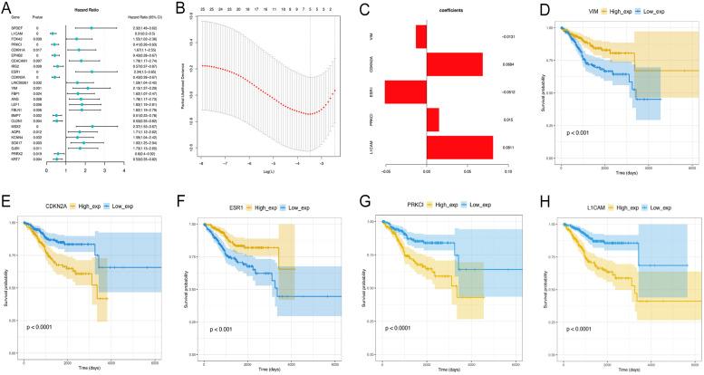 https://cdn.ncbi.nlm.nih.gov/pmc/blobs/605d/8489121/cfb285cfcbf3/jcav12p6484g005.jpg