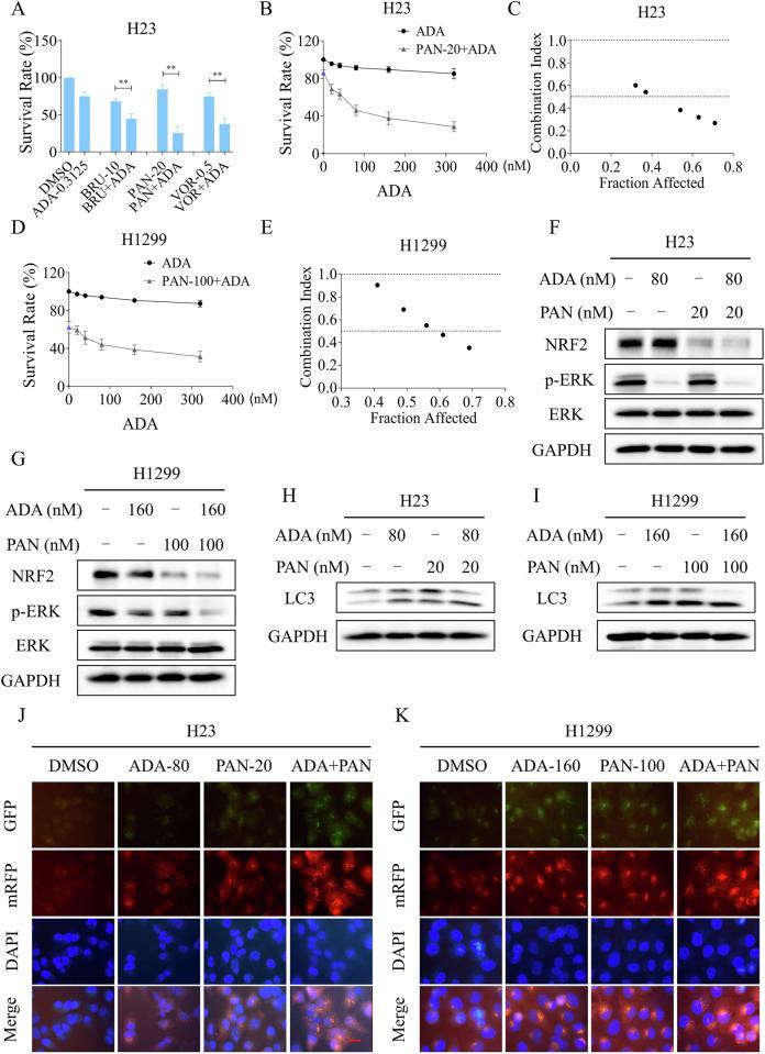https://cdn.ncbi.nlm.nih.gov/pmc/blobs/605f/12316882/cb2c71dc8e28/41420_2025_2657_Fig8_HTML.jpg