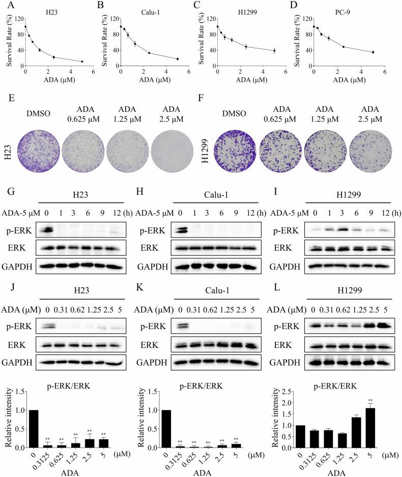 https://cdn.ncbi.nlm.nih.gov/pmc/blobs/605f/12316882/e6b99699b722/41420_2025_2657_Fig1_HTML.jpg
