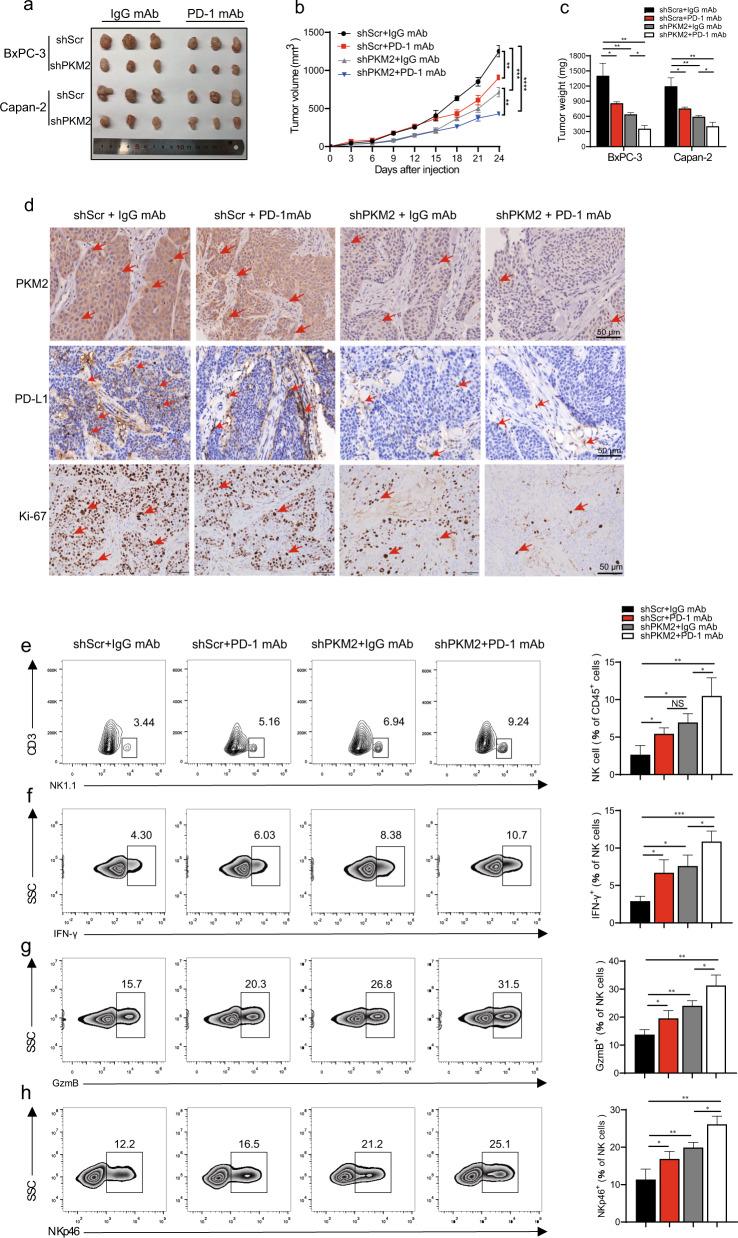 https://cdn.ncbi.nlm.nih.gov/pmc/blobs/605f/8816727/60ce04c22141/41388_2021_2133_Fig7_HTML.jpg