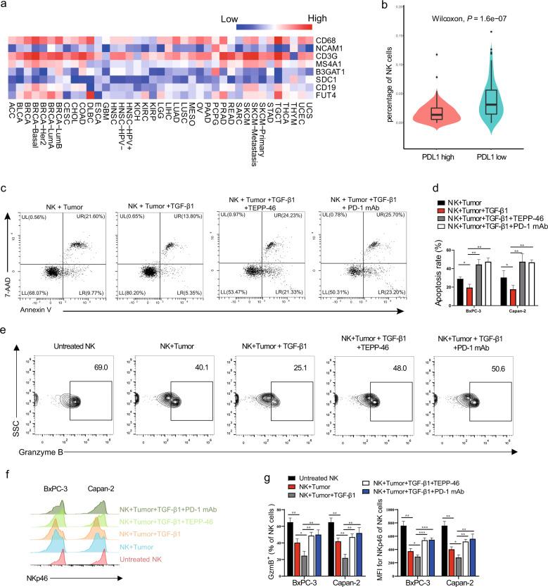 https://cdn.ncbi.nlm.nih.gov/pmc/blobs/605f/8816727/d002e74e6674/41388_2021_2133_Fig6_HTML.jpg