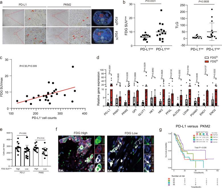 https://cdn.ncbi.nlm.nih.gov/pmc/blobs/605f/8816727/f29cb934f204/41388_2021_2133_Fig1_HTML.jpg