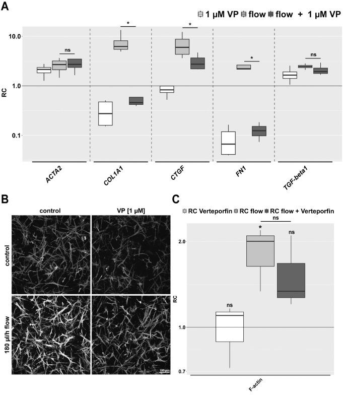 https://cdn.ncbi.nlm.nih.gov/pmc/blobs/6062/11993124/30be4708c654/iovs-66-4-17-f005.jpg