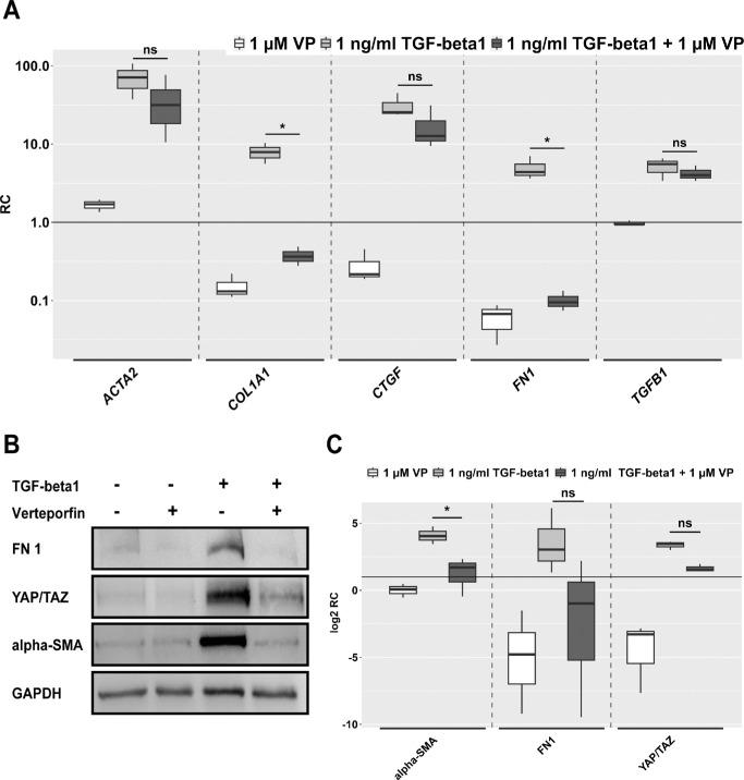 https://cdn.ncbi.nlm.nih.gov/pmc/blobs/6062/11993124/527257890f67/iovs-66-4-17-f003.jpg