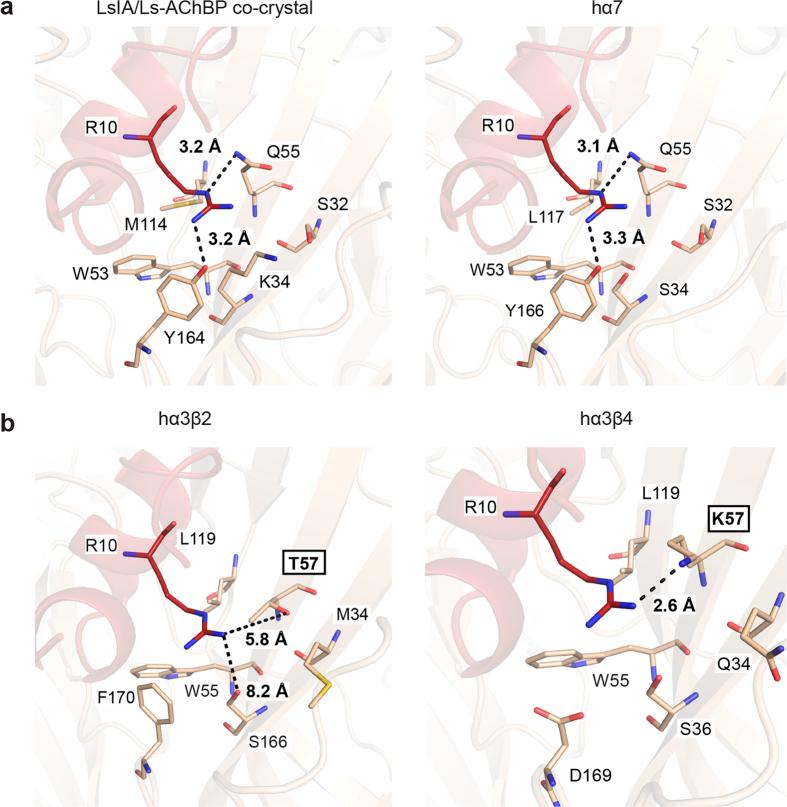 https://cdn.ncbi.nlm.nih.gov/pmc/blobs/6062/5374441/a742ff0d1981/srep45466-f2.jpg
