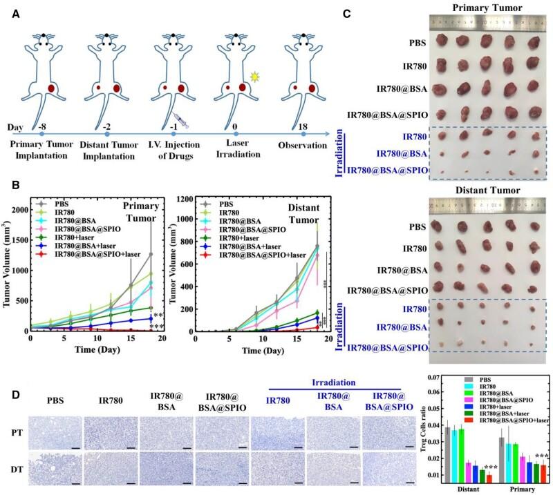 https://cdn.ncbi.nlm.nih.gov/pmc/blobs/6063/10548782/87dc5c0fe719/rbad073f5.jpg