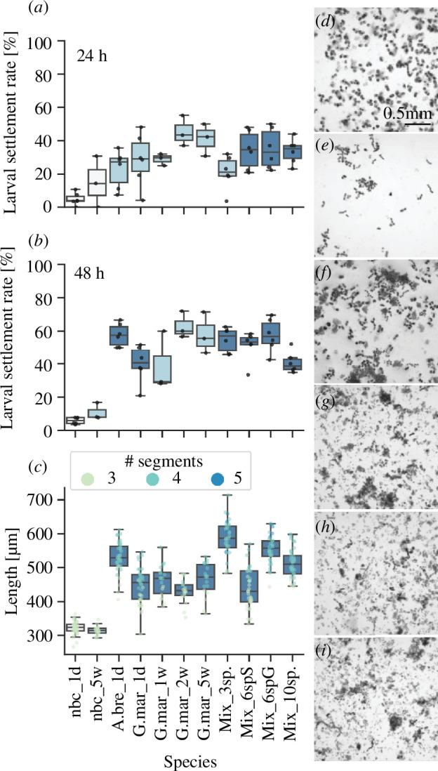 https://cdn.ncbi.nlm.nih.gov/pmc/blobs/6063/11407872/399ee6cf48c1/rsos.240274.f003.jpg