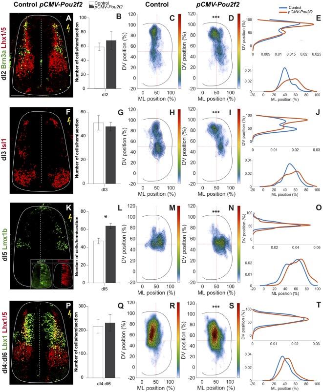 https://cdn.ncbi.nlm.nih.gov/pmc/blobs/6064/6853997/5ace0987e88b/fnmol-12-00263-g0005.jpg