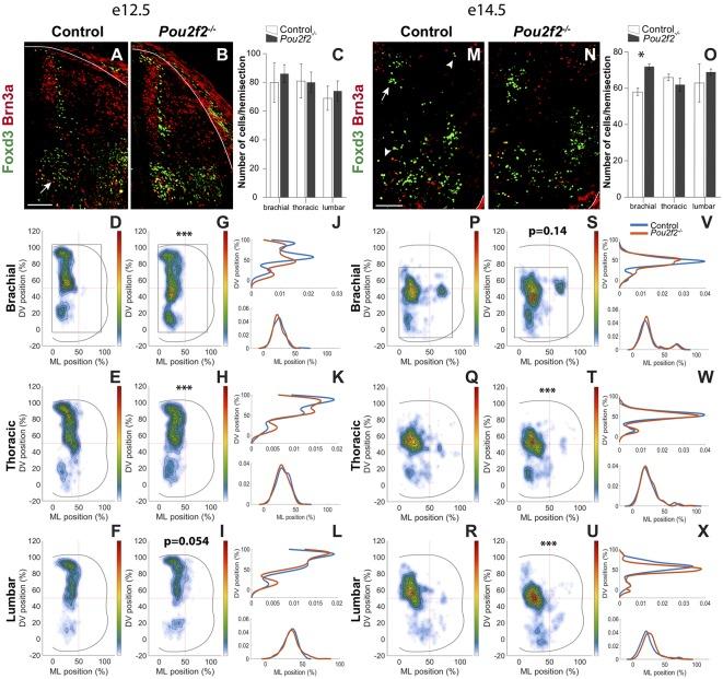 https://cdn.ncbi.nlm.nih.gov/pmc/blobs/6064/6853997/e4c4e82a93f3/fnmol-12-00263-g0007.jpg