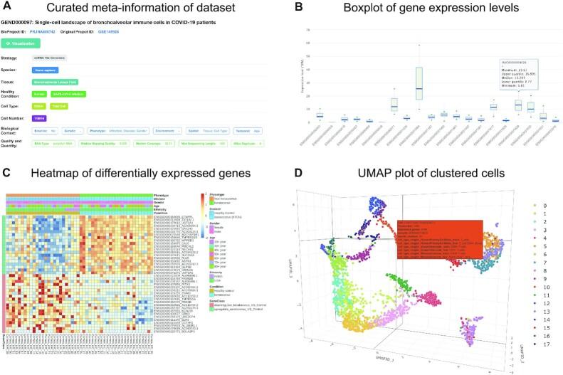 https://cdn.ncbi.nlm.nih.gov/pmc/blobs/6066/8728231/3f547f78c116/gkab878fig2.jpg