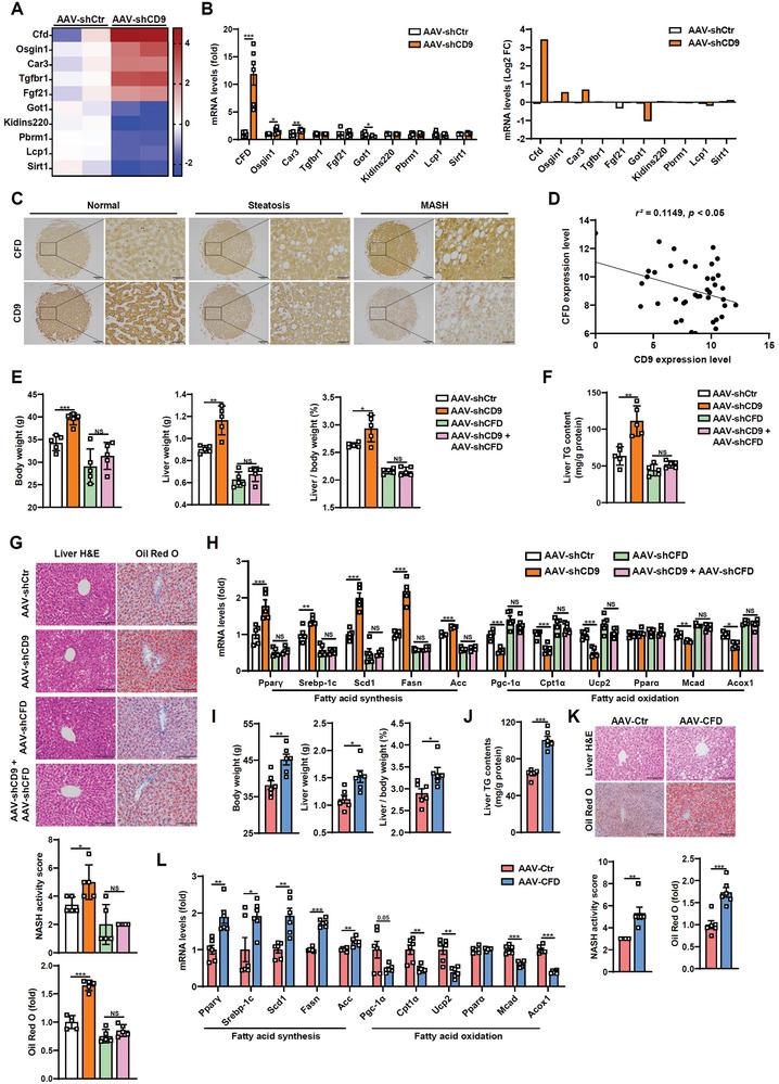 https://cdn.ncbi.nlm.nih.gov/pmc/blobs/6067/11304330/5282a141c635/ADVS-11-2400819-g004.jpg