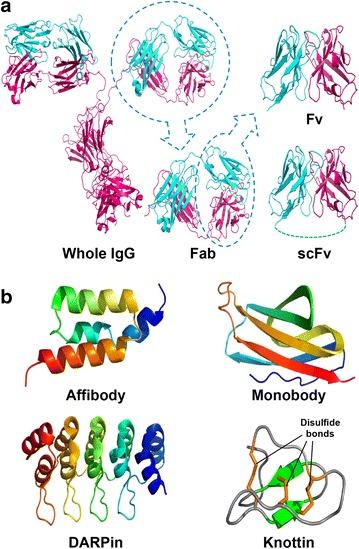 https://cdn.ncbi.nlm.nih.gov/pmc/blobs/6067/6141843/8cf3648d932f/40580_2017_103_Fig2_HTML.jpg