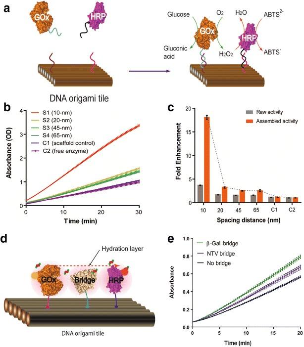https://cdn.ncbi.nlm.nih.gov/pmc/blobs/6067/6141843/8ee29d7fcdfa/40580_2017_103_Fig13_HTML.jpg