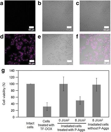 https://cdn.ncbi.nlm.nih.gov/pmc/blobs/6067/6141843/c3975c217ddd/40580_2017_103_Fig5_HTML.jpg