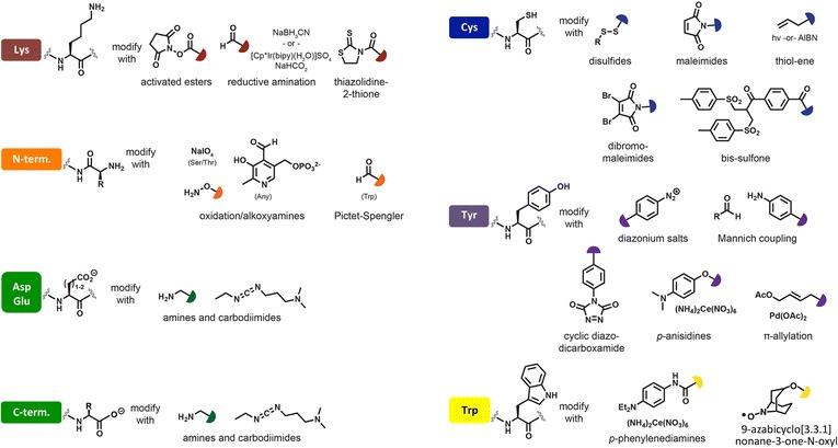 https://cdn.ncbi.nlm.nih.gov/pmc/blobs/6067/6141843/efe519ec89af/40580_2017_103_Fig19_HTML.jpg