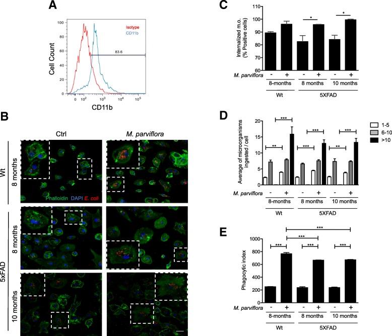 https://cdn.ncbi.nlm.nih.gov/pmc/blobs/6067/6617588/338f3cc9f050/12974_2019_1515_Fig6_HTML.jpg