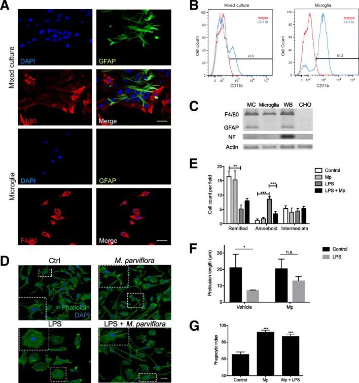 https://cdn.ncbi.nlm.nih.gov/pmc/blobs/6067/6617588/b08740471794/12974_2019_1515_Fig5_HTML.jpg