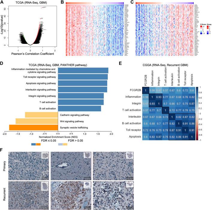 https://cdn.ncbi.nlm.nih.gov/pmc/blobs/6068/9858204/4018312456c7/fgene-13-1046008-g006.jpg