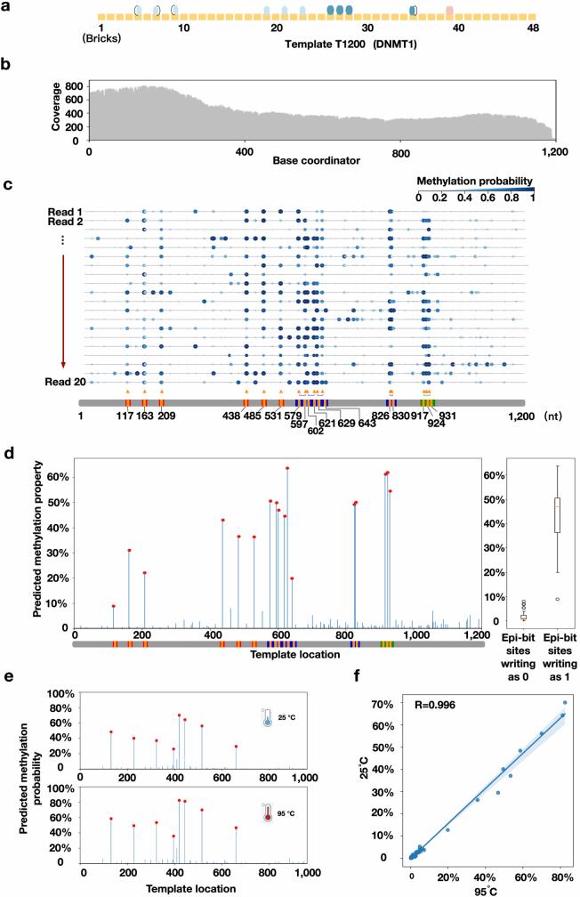 https://cdn.ncbi.nlm.nih.gov/pmc/blobs/606c/11499255/4a0fdf8f56c9/41586_2024_8040_Fig8_ESM.jpg