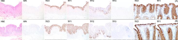 https://cdn.ncbi.nlm.nih.gov/pmc/blobs/606c/2632736/c8b8a5835015/gr2.jpg