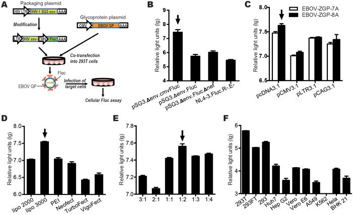 https://cdn.ncbi.nlm.nih.gov/pmc/blobs/606c/5372081/3368069528ad/srep45552-f1.jpg