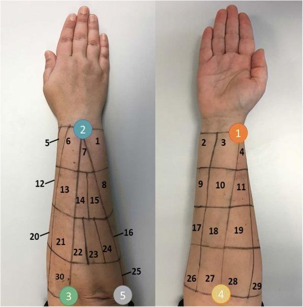 https://cdn.ncbi.nlm.nih.gov/pmc/blobs/606e/6206932/203271187fcd/12984_2018_437_Fig2_HTML.jpg