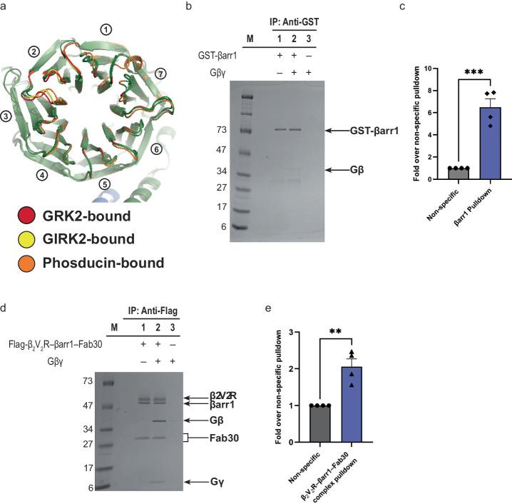 https://cdn.ncbi.nlm.nih.gov/pmc/blobs/606f/11228049/7b24c453255c/42003_2024_6512_Fig7_HTML.jpg