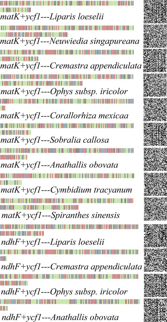 https://cdn.ncbi.nlm.nih.gov/pmc/blobs/6070/7809279/800b16642661/41598_2021_81087_Fig11_HTML.jpg