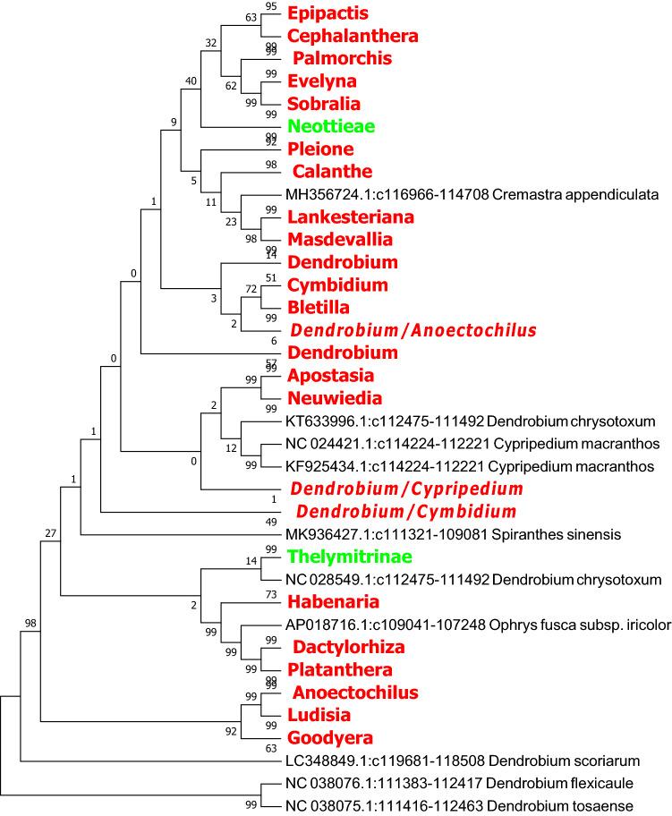 https://cdn.ncbi.nlm.nih.gov/pmc/blobs/6070/7809279/951ce57526cf/41598_2021_81087_Fig4_HTML.jpg