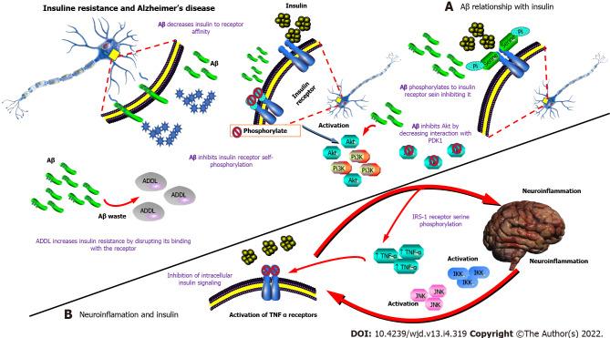 https://cdn.ncbi.nlm.nih.gov/pmc/blobs/6070/9052006/6ec500559bca/WJD-13-319-g006.jpg