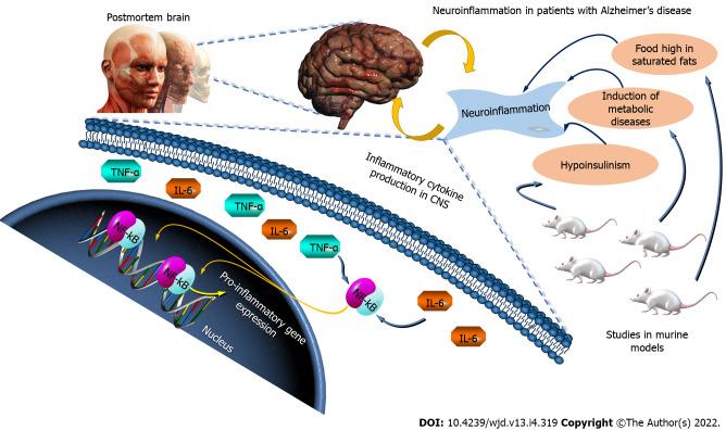 https://cdn.ncbi.nlm.nih.gov/pmc/blobs/6070/9052006/7e3ce6a87928/WJD-13-319-g004.jpg