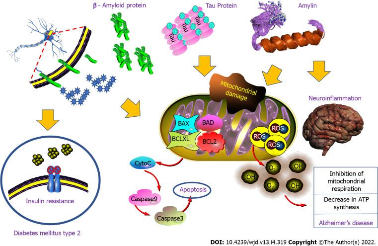 https://cdn.ncbi.nlm.nih.gov/pmc/blobs/6070/9052006/b4ff1d65cd1e/WJD-13-319-g007.jpg