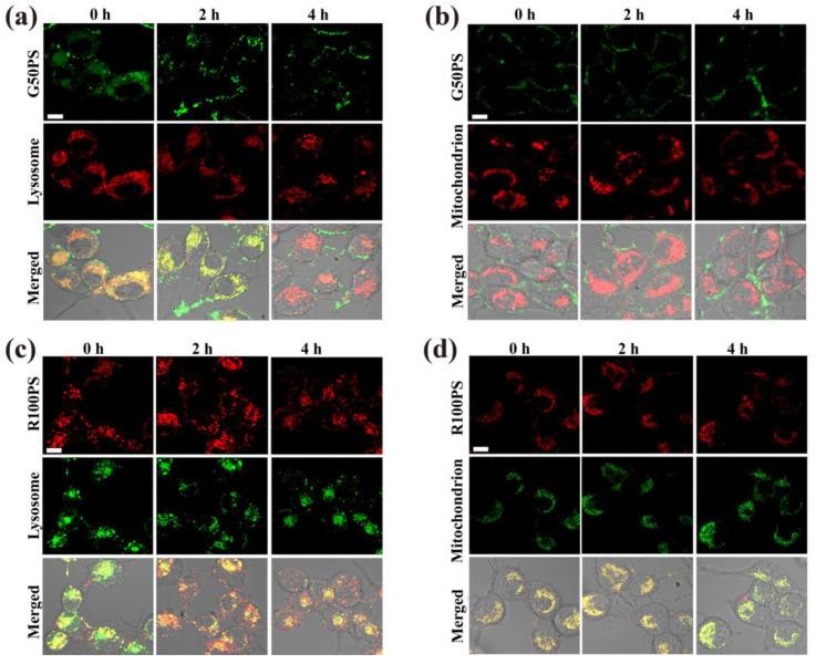 https://cdn.ncbi.nlm.nih.gov/pmc/blobs/6070/9824409/3a7b1c64a74c/nanomaterials-13-00084-g010.jpg
