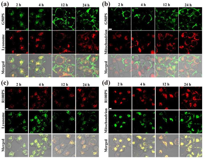 https://cdn.ncbi.nlm.nih.gov/pmc/blobs/6070/9824409/e7ecf2feb5a5/nanomaterials-13-00084-g006.jpg