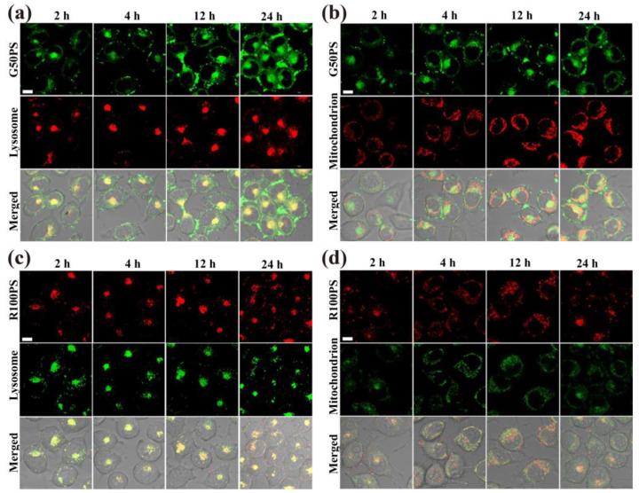 https://cdn.ncbi.nlm.nih.gov/pmc/blobs/6070/9824409/f1ec15f1b507/nanomaterials-13-00084-g005.jpg