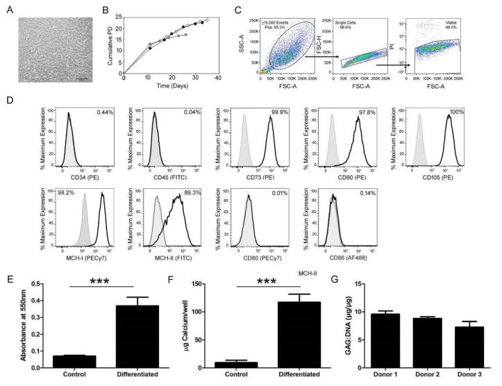 https://cdn.ncbi.nlm.nih.gov/pmc/blobs/6076/7348854/ae34843e606c/cells-09-01394-g001.jpg