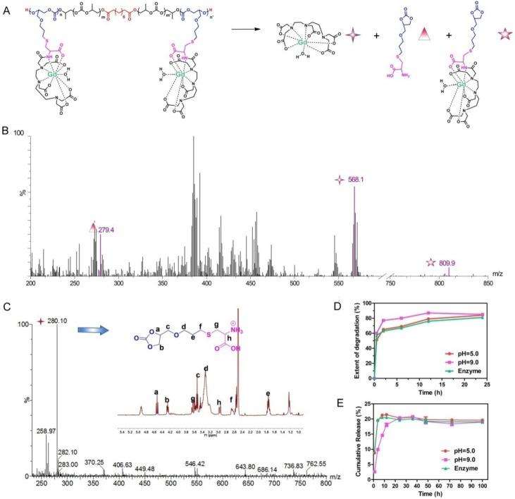https://cdn.ncbi.nlm.nih.gov/pmc/blobs/6077/5706092/a646c98be830/thnov07p4689g004.jpg