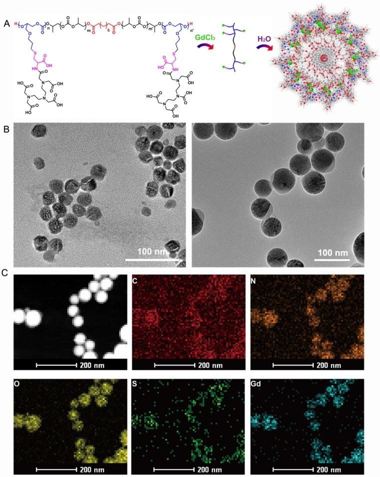 https://cdn.ncbi.nlm.nih.gov/pmc/blobs/6077/5706092/cb8af52c2329/thnov07p4689g001.jpg