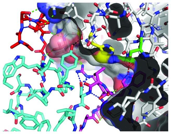 https://cdn.ncbi.nlm.nih.gov/pmc/blobs/6078/3499344/5067a2b80d5b/mabs-4-497-g6.jpg