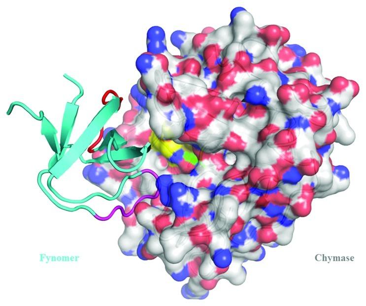 https://cdn.ncbi.nlm.nih.gov/pmc/blobs/6078/3499344/949cb43affb5/mabs-4-497-g5.jpg