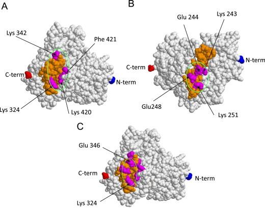 https://cdn.ncbi.nlm.nih.gov/pmc/blobs/6078/4297929/9427a959aa9c/gr1.jpg