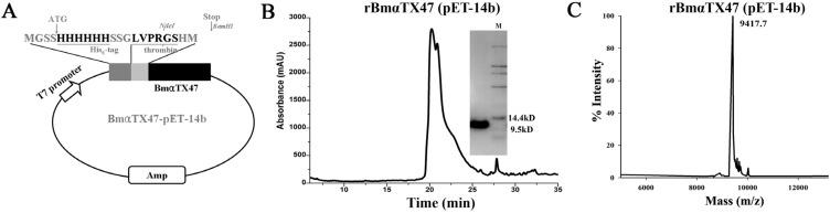 https://cdn.ncbi.nlm.nih.gov/pmc/blobs/6079/3968363/cc82db8ac0b4/toxins-06-00816-g002.jpg