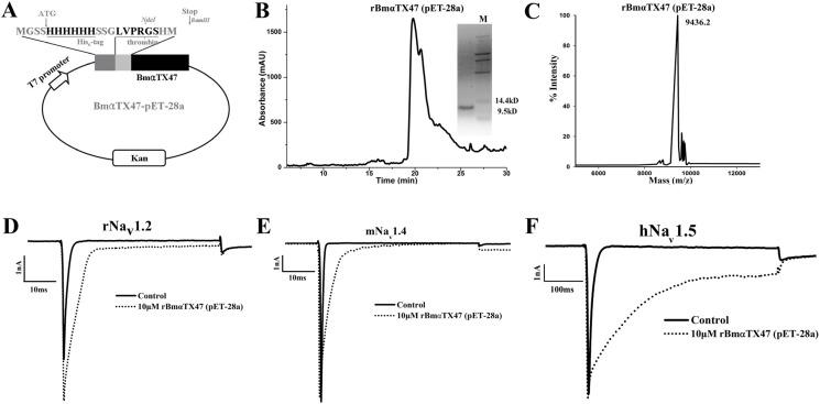 https://cdn.ncbi.nlm.nih.gov/pmc/blobs/6079/3968363/eace52c8e8c9/toxins-06-00816-g004.jpg