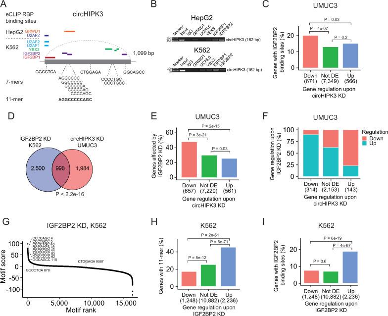 https://cdn.ncbi.nlm.nih.gov/pmc/blobs/607a/11265796/016c1a08223f/elife-91783-fig3.jpg