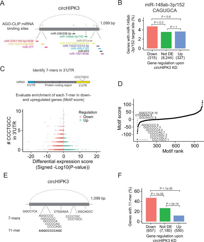 https://cdn.ncbi.nlm.nih.gov/pmc/blobs/607a/11265796/63a1ce0e17f9/elife-91783-fig2.jpg