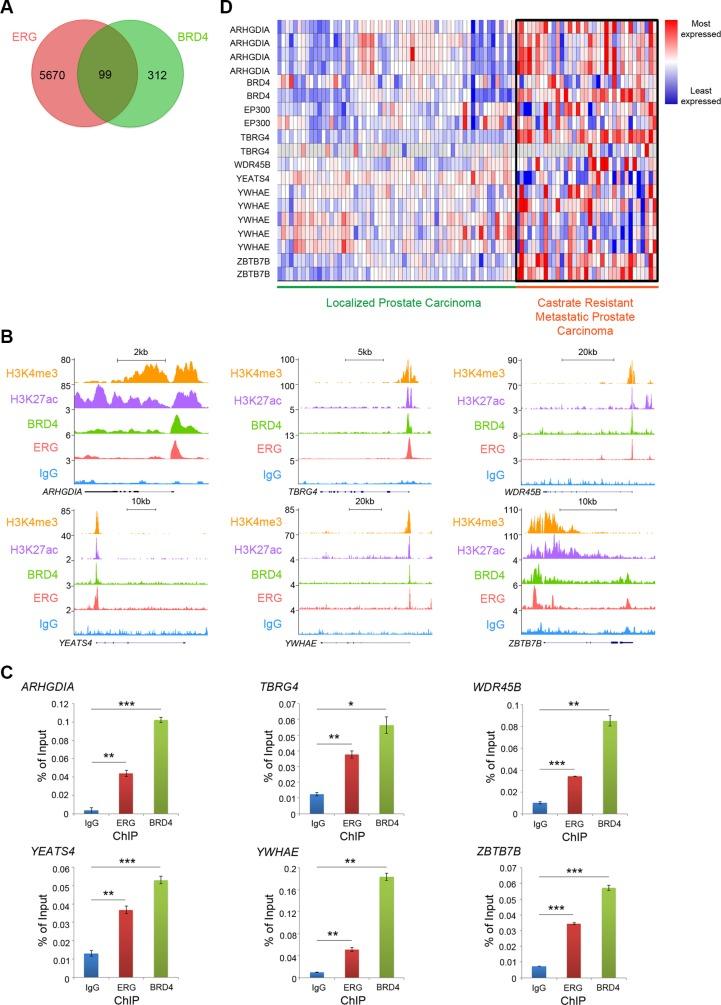 https://cdn.ncbi.nlm.nih.gov/pmc/blobs/607a/5122392/b3bb5056c8bb/oncotarget-07-38319-g004.jpg