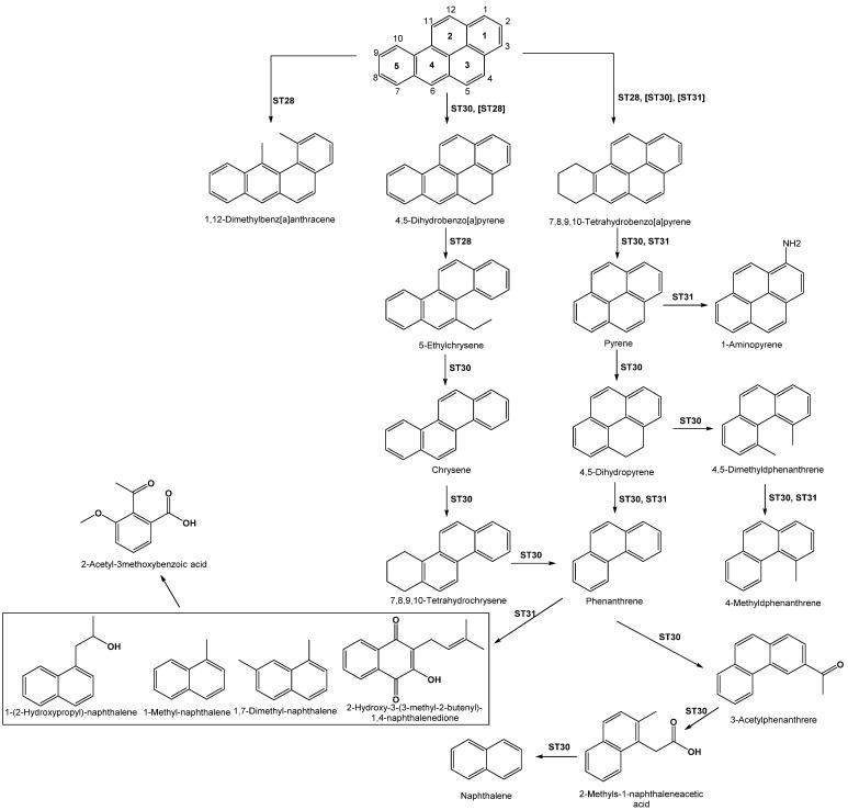 https://cdn.ncbi.nlm.nih.gov/pmc/blobs/607d/7795093/cdc0057c247a/ijerph-18-00262-sch002.jpg